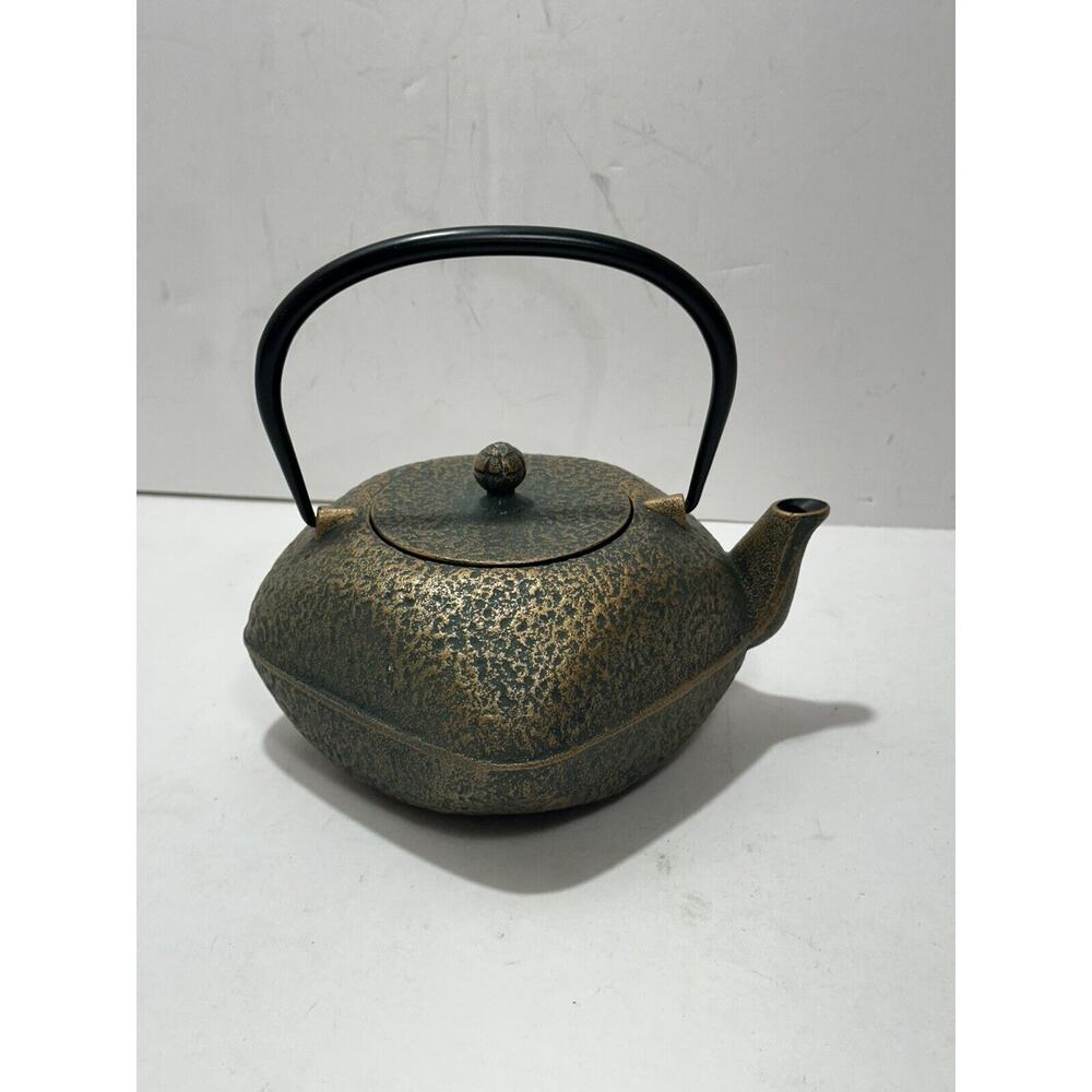 Japanese Rock Casting Iron Tea Pot‎ Kettle With Infuser Gorgeous Teapot Japan